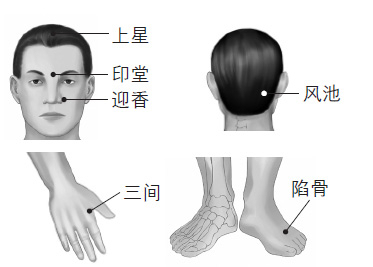 鼻塞、打鼾等鼻子問題的防治